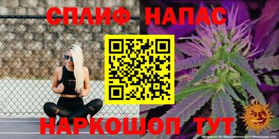 стафф Бугуруслан