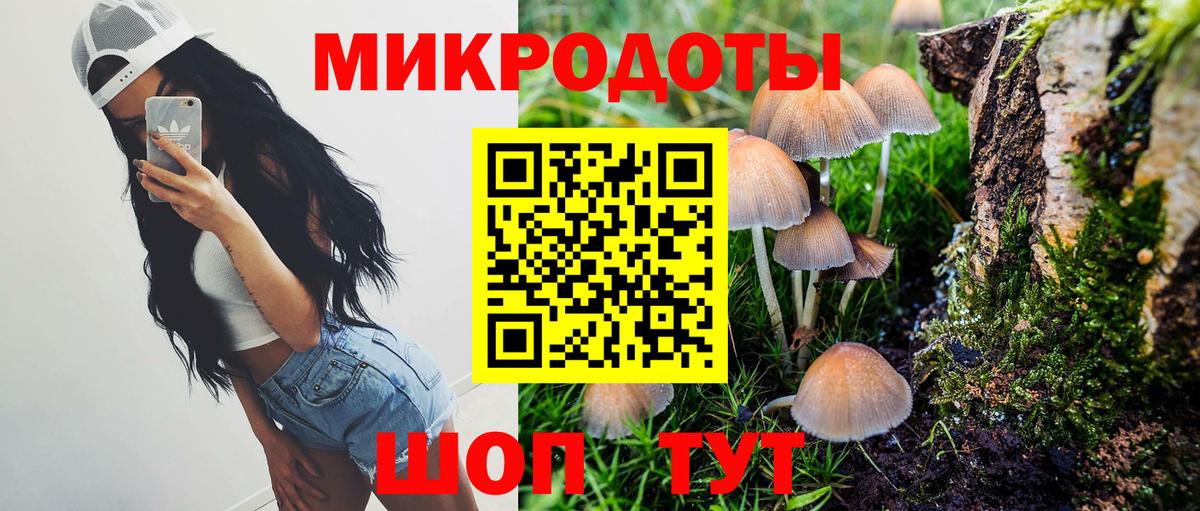 Псилоцибиновые грибы Psilocybe  Вход с VPN  Сертолово  Галлюциногенные грибы MAGIC MUSHROOMS 