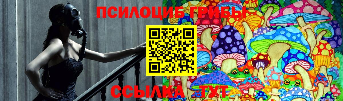 Галлюциногенные грибы Psilocybe Сертолово